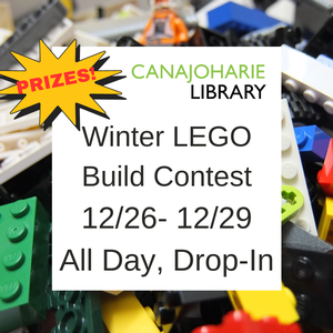 All Ages Winter LEGO